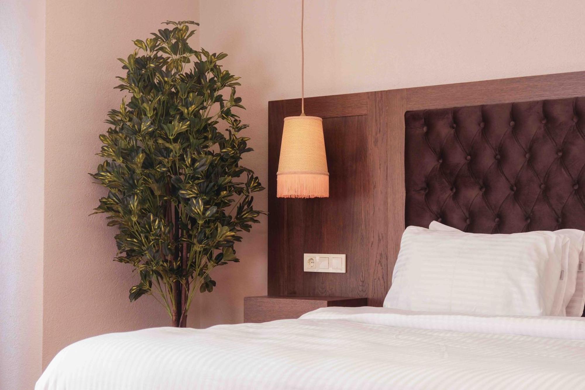 Phellos Suites Boutique Hotel Ağva Extérieur photo